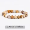 coral-fossil