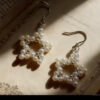 1pair Earrings